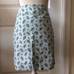 Ann Taylor beautiful skirt with lining